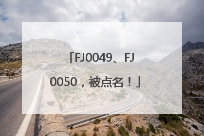 FJ0049、FJ0050，被点名！