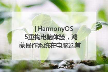 HarmonyOS 5重构电脑体验，鸿蒙操作系统在电脑端首次亮相丨新经济观察