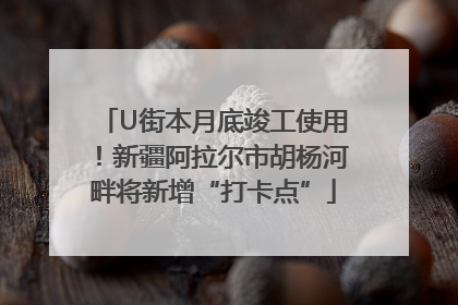 U街本月底竣工使用!新疆阿拉尔市胡杨河畔将新增“打卡点”